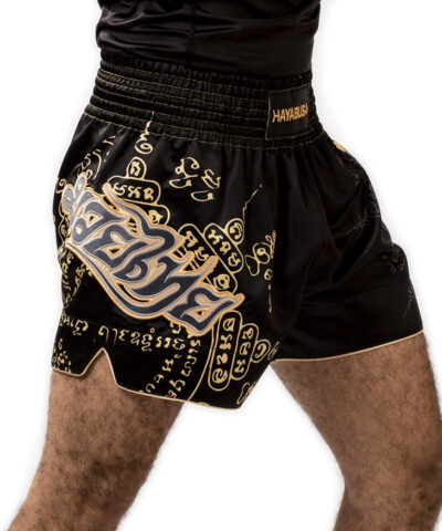 Hayabusa Falcon Muay Thai Shorts