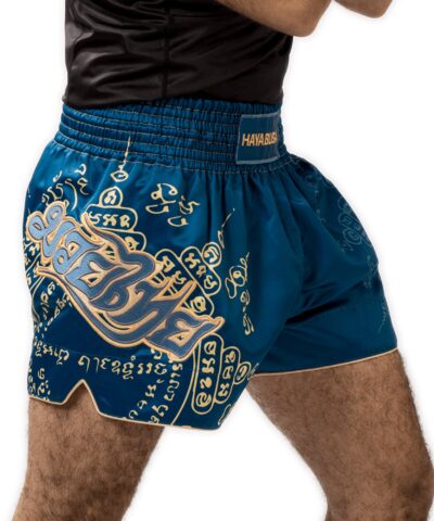 Hayabusa Falcon Muay Thai Shorts