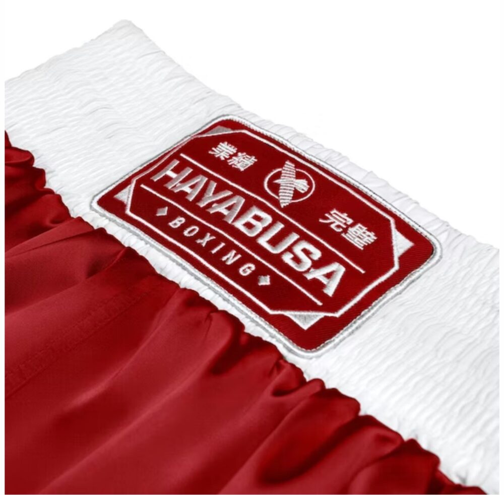 Hayabusa Pantalones cortos de boxeo profesionales